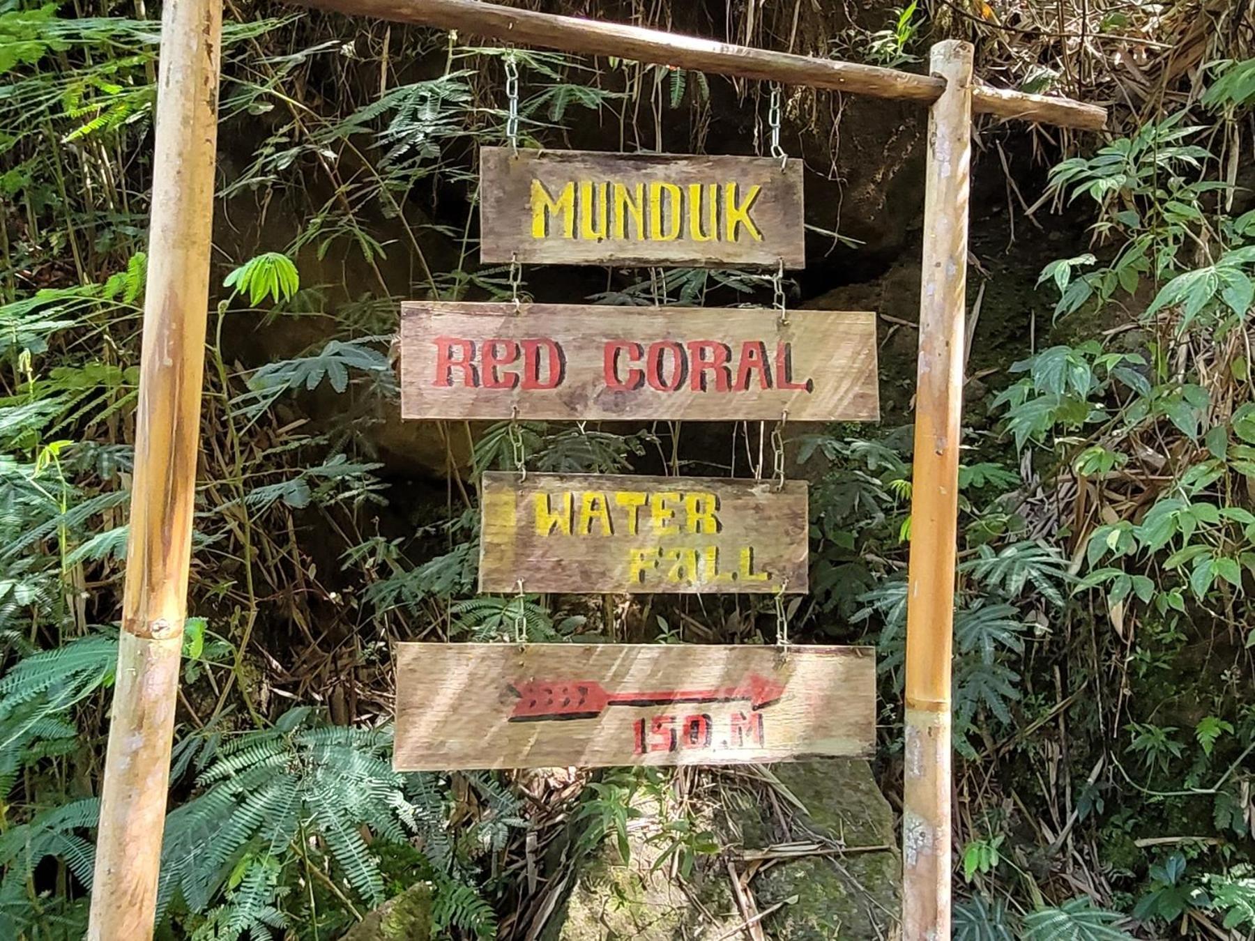 Umah Yugadi Bali Διαμέρισμα Munduk Εξωτερικό φωτογραφία